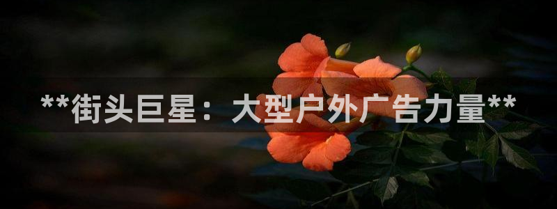 杏宇平台怎么样知乎