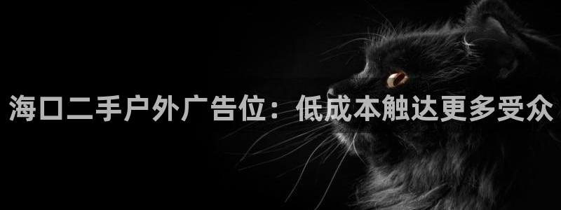 杏宇平台总代理电话