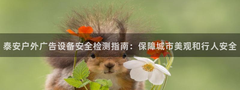 杏宇平台注册地址在哪里