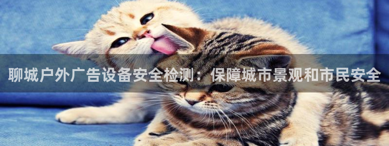 杏宇平台代理多少钱一个月