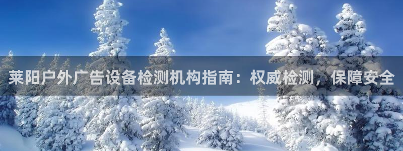 杏宇平台登录步骤图