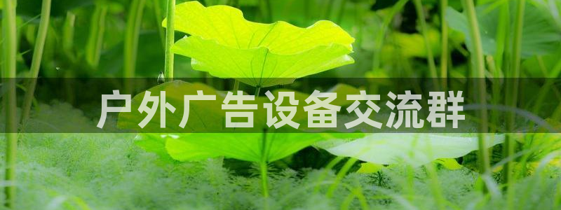 杏宇官方平台官网入口