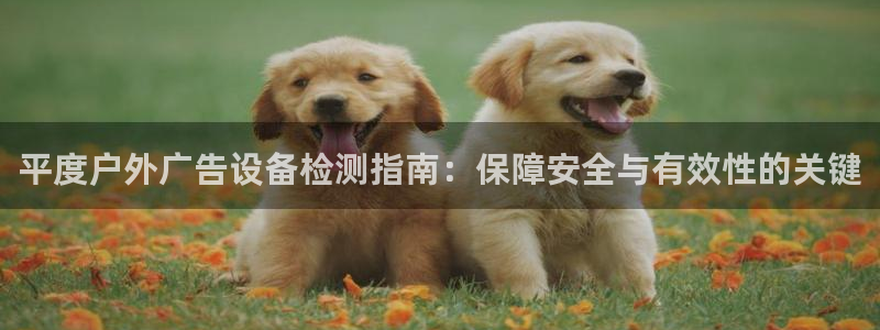杏宇平台招商怎么样：平度户外广告设备检测指南：保障安全与有效性的关键