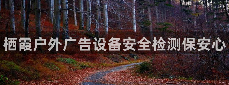 杏宇平台怎么样知乎