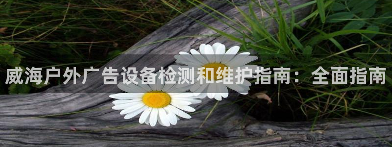 杏宇平台代理怎么样可靠吗：威海户外广告设备检测和维护指南：全面指南