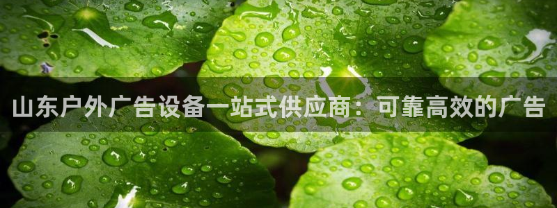 杏宇平台代理怎么赚钱的：山东户外广告设备一站式供应商：可靠高效的广告