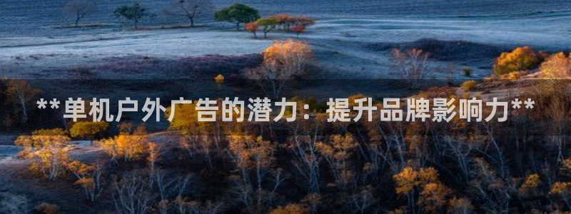 杏宇平台登录步骤：**单机户外广告的潜力：提升品牌影响力**
