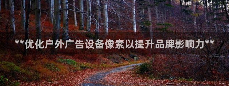 杏宇平台注册地址在哪里：**优化户外广告设备像素以提升品牌影响力**