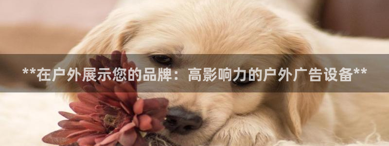 杏宇平台提现为什么这么久呢：**在户外展示您的品牌：高影响力的户外广告设备**