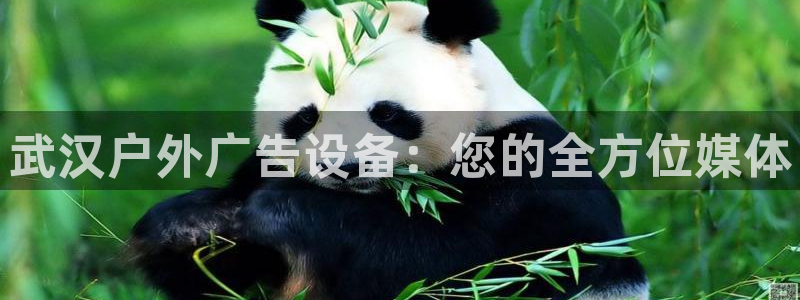 杏宇平台登录步骤