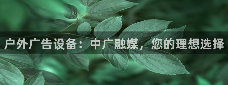 杏宇平台代理怎么样