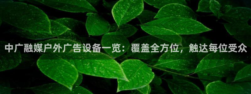 杏宇平台登录步骤