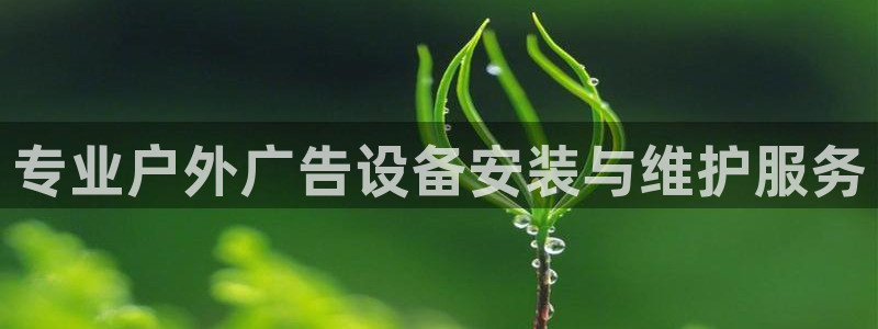 杏宇平台是什么