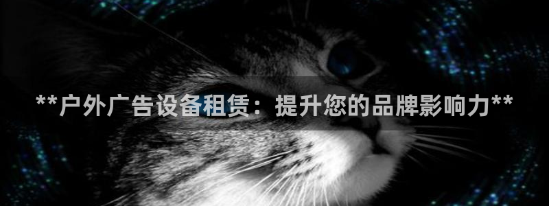 杏宇平台是什么：**户外广告设备租赁：提升您的品牌影响力**