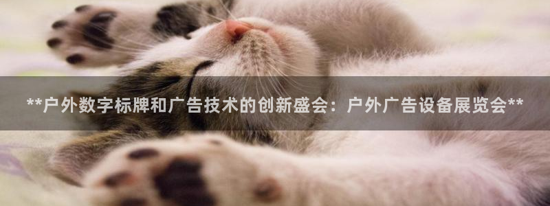 杏宇平台开户