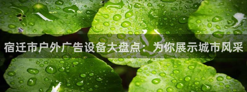 杏宇平台登录步骤