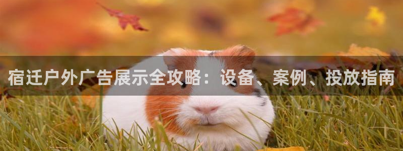 杏宇平台招商电话号码