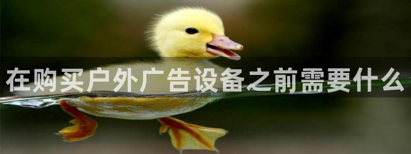 杏宇平台注册登录
