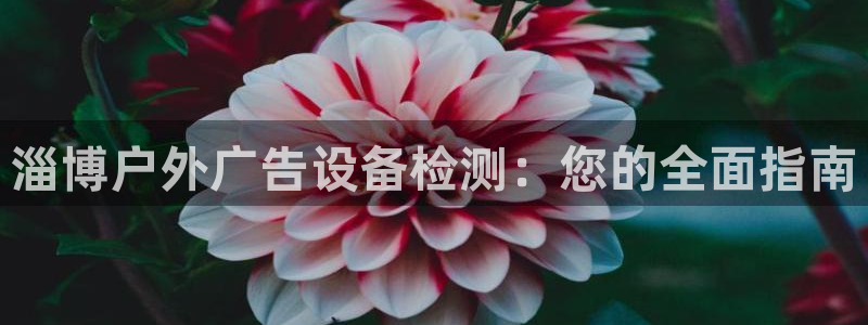 杏宇平台怎么样