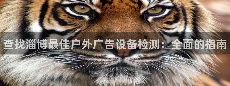 杏宇平台主管