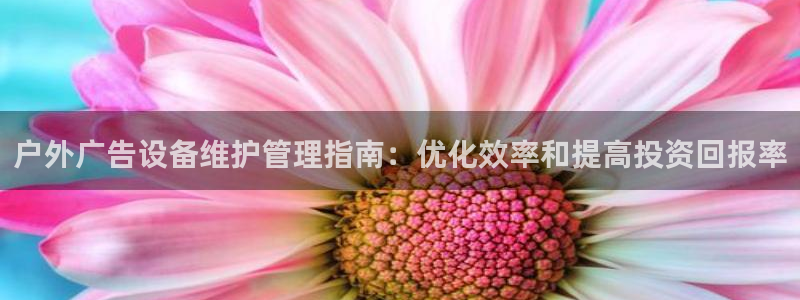 杏宇平台登录步骤