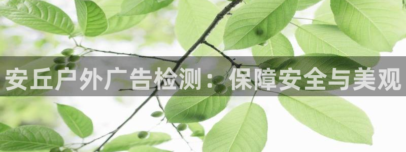 杏宇平台提现为什么这么久呢
