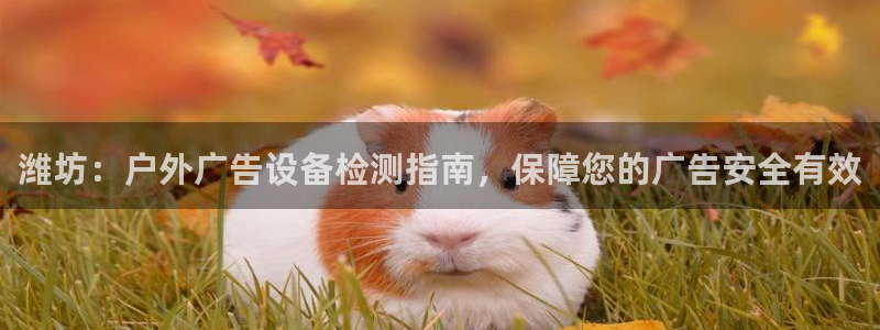 杏宇平台官网注册