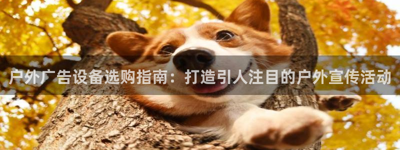 杏宇平台登录步骤