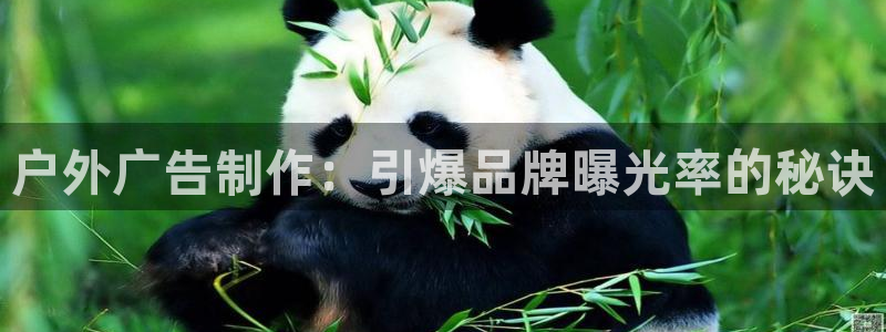 杏宇平台招商怎么样