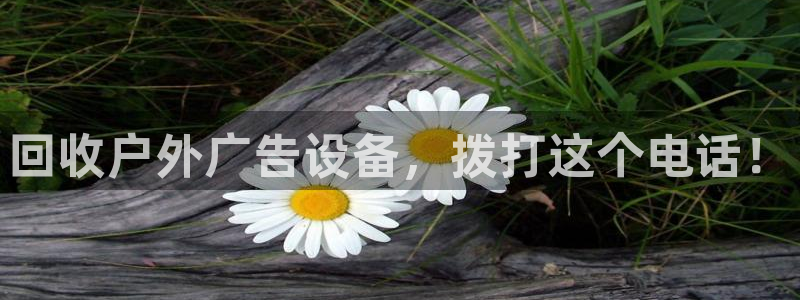 杏宇平台怎么样赚钱