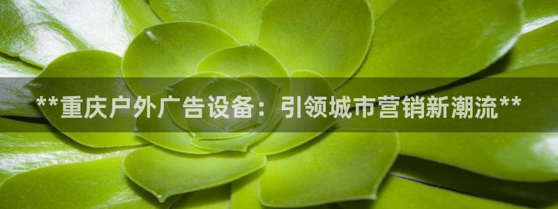 杏宇平台登录方法