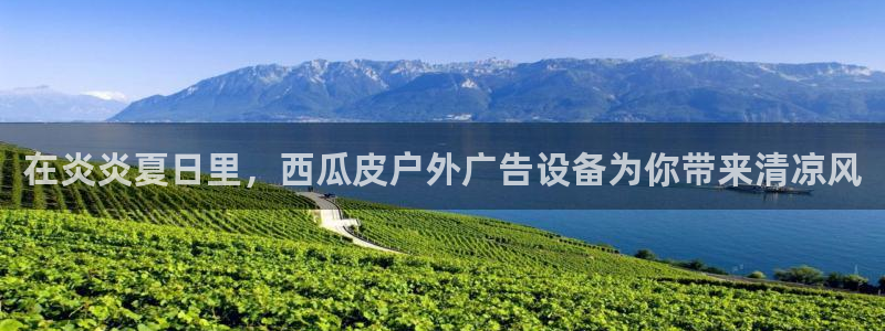杏宇平台总代理