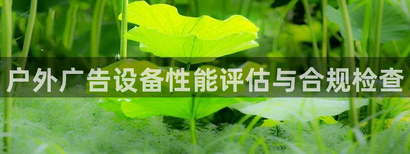 杏宇平台代理怎么样可靠吗