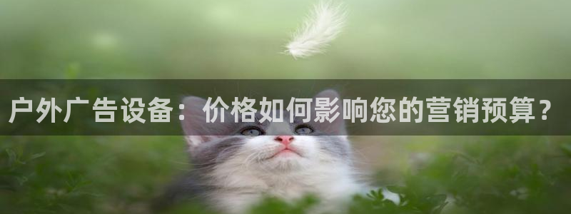 杏宇平台怎么样赚钱