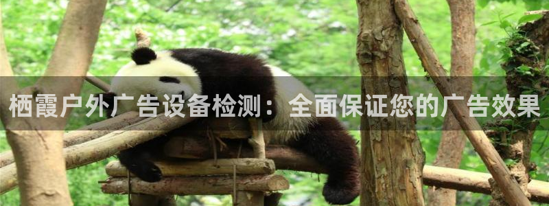 杏宇平台怎么样知乎：栖霞户外广告设备检测：全面保证您的广告效果
