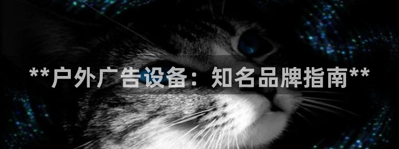 杏宇平台代理怎么赚钱的：**户外广告设备：知名品牌指南**