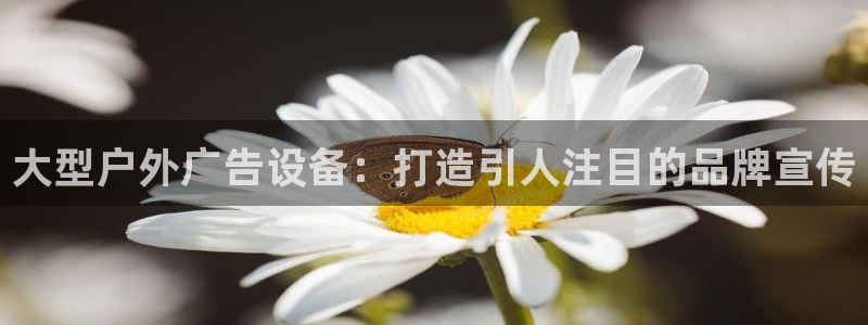 杏宇平台主管