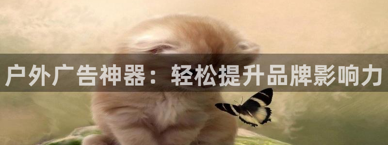 杏宇平台代理多少钱一个