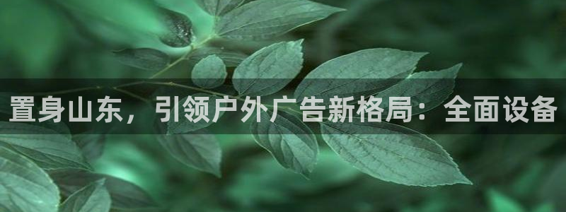 杏宇平台注册登录：置身山东，引领户外广告新格局：全面设备