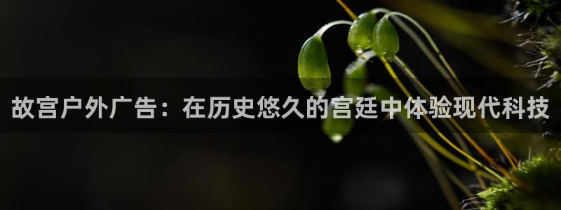杏宇平台代理怎么赚钱