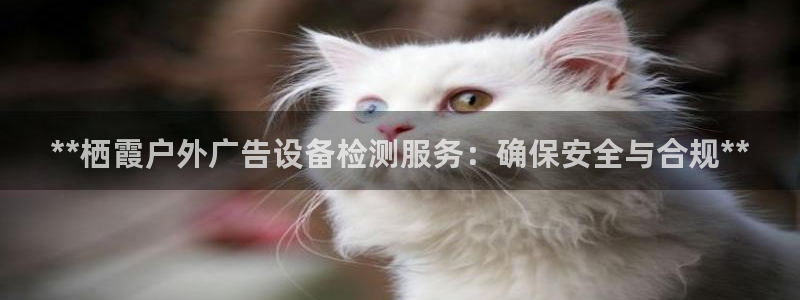杏宇平台注册登录：**栖霞户外广告设备检测服务：确保安全与合规**