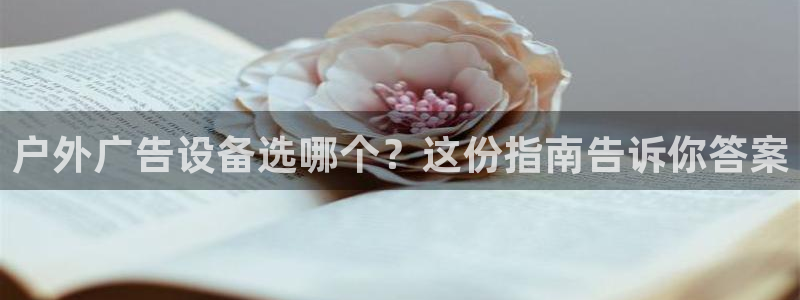 杏宇代理注册
