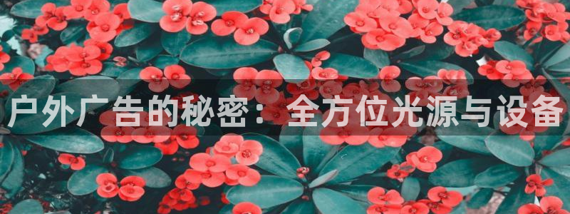 杏宇平台怎么样知乎