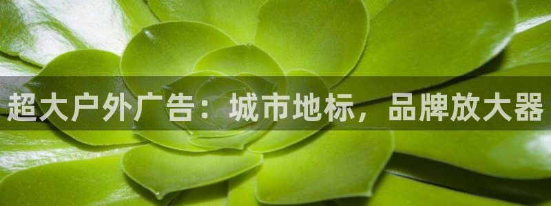 杏宇平台好吗
