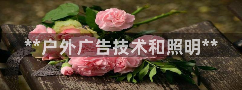 杏宇平台怎么样知乎：**户外广告技术和照明**