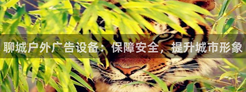 杏宇平台官网注册