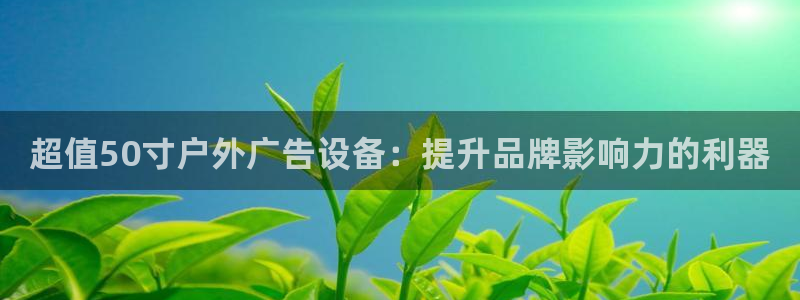 杏宇平台注册登录