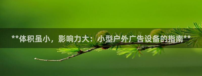 杏宇平台官网注册：**体积虽小，影响力大：小型户外广告设备的指南**