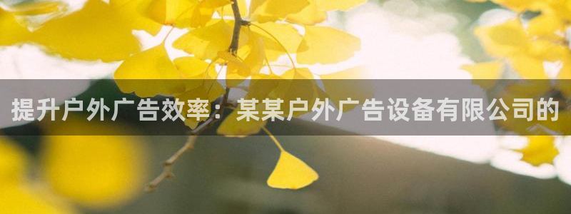 杏宇平台登陆：提升户外广告效率：某某户外广告设备有限公司的