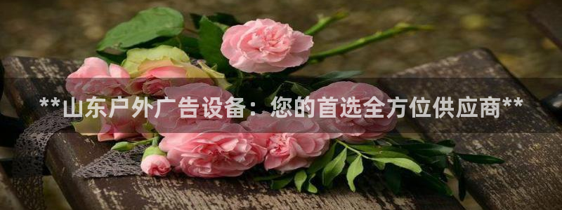 杏宇平台是什么：**山东户外广告设备：您的首选全方位供应商**